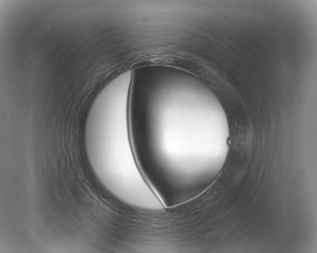 X0000080150748200612081052