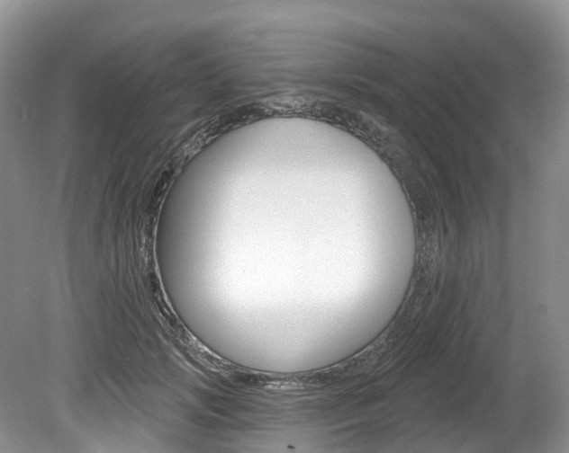 X0000080150749200612081052