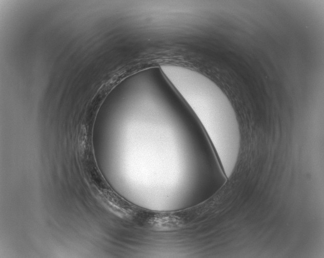 X0000080150752200612081052