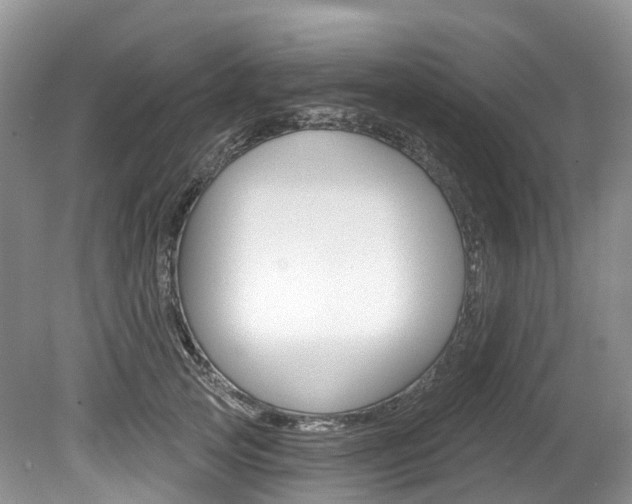 X0000080150753200612081052
