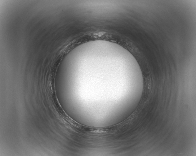 X0000080150754200612081052