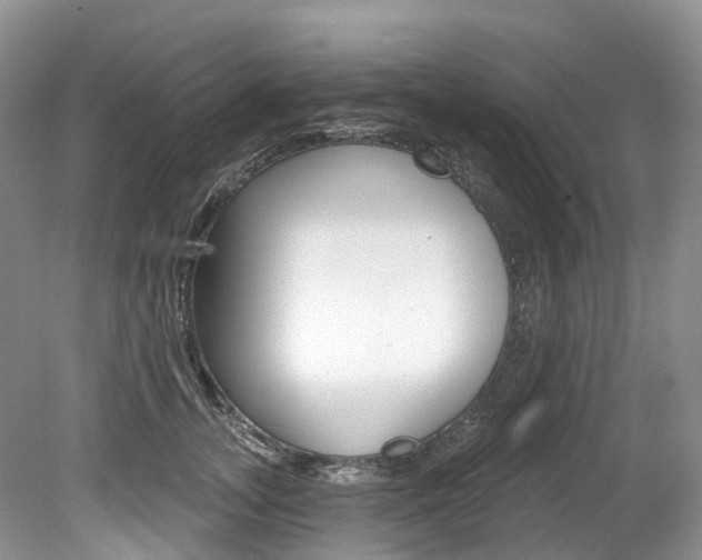 X0000080150755200612081052