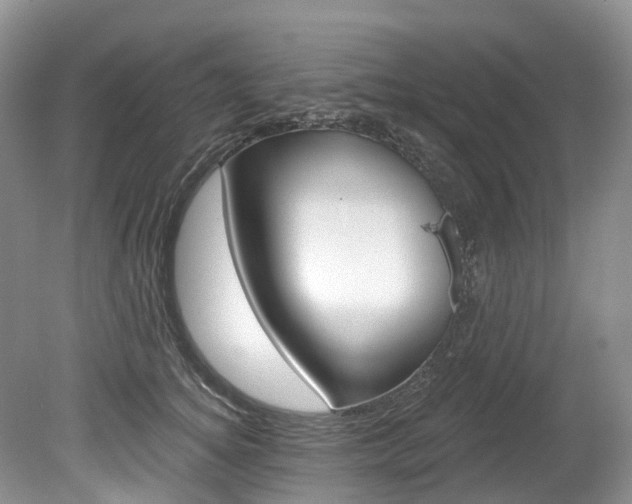 X0000080150756200612081052