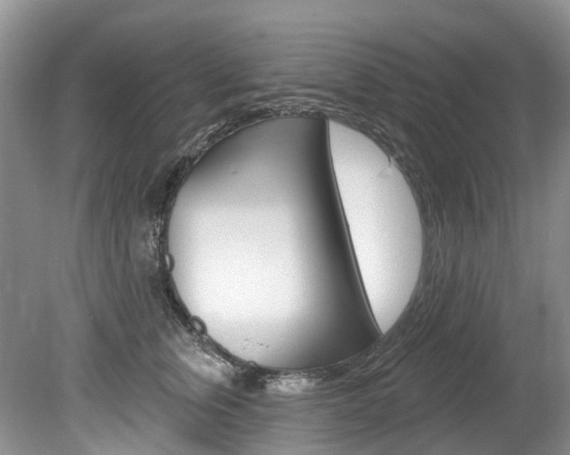 X0000080150759200612081052