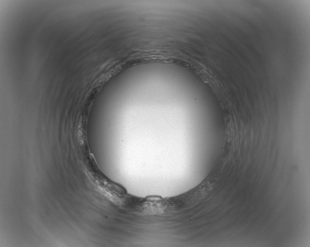 X0000080150764200612081052