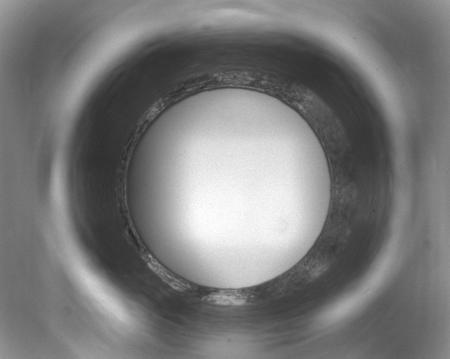 X0000080150765200612081052