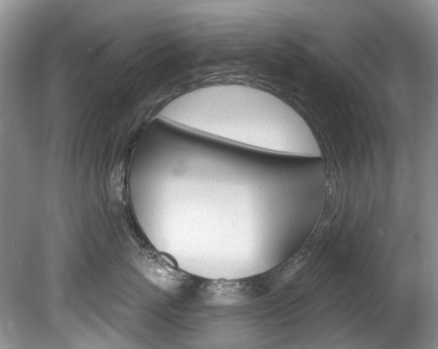 X0000080150767200612081052