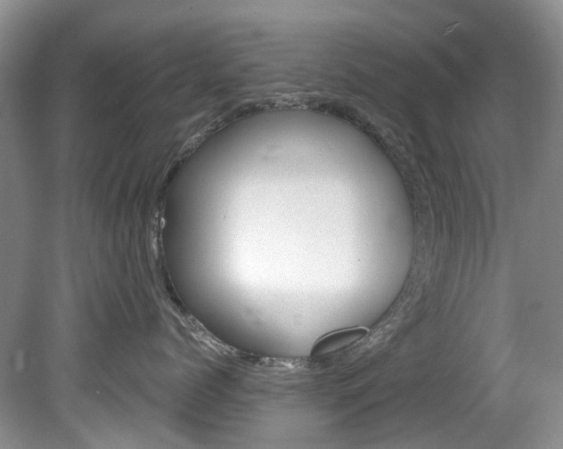 X0000080150768200612081052
