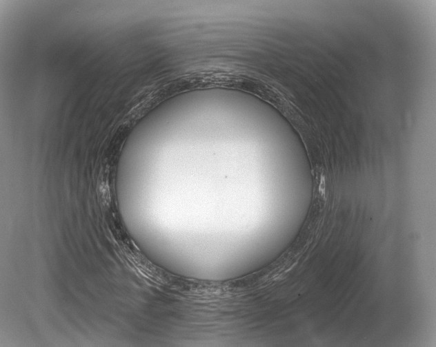 X0000080150771200612081051