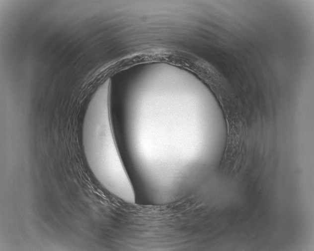 X0000080150773200612081051