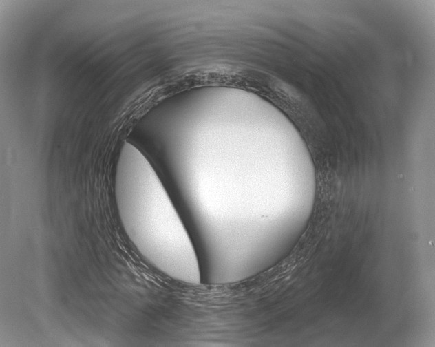 X0000080150774200612081051