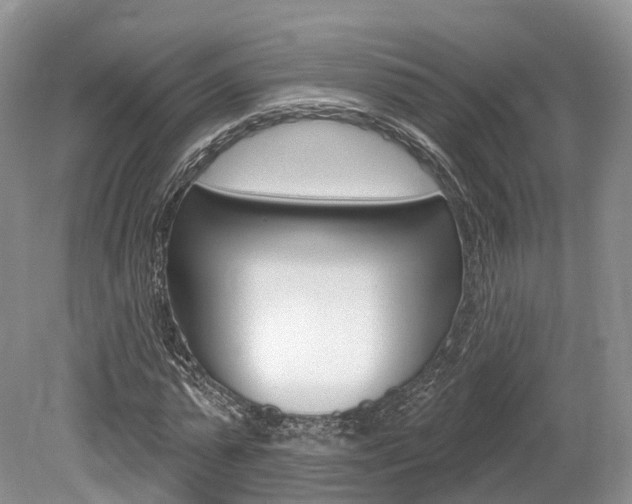 X0000080150775200612081051