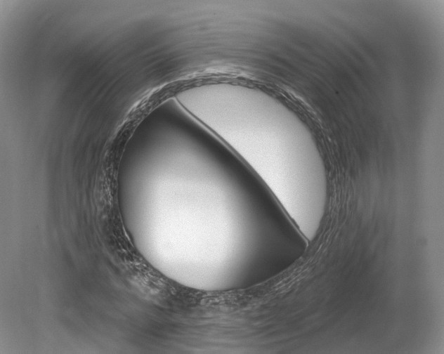X0000080150776200612081051