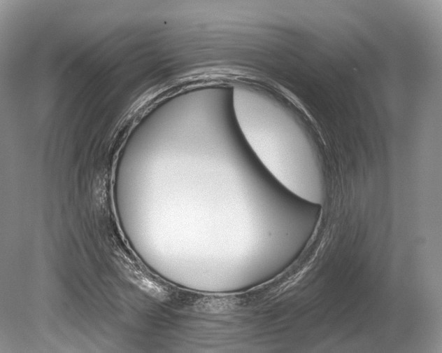 X0000080150778200612081051