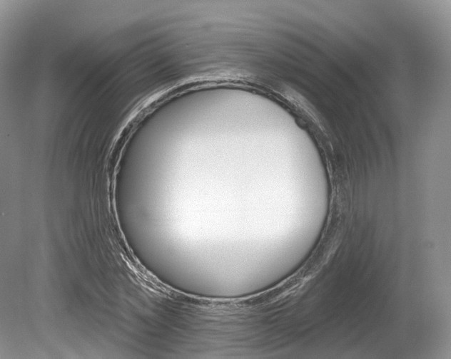 X0000080150781200612081051