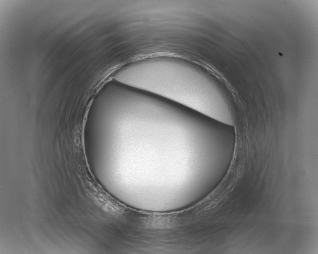 X0000080150785200612081051