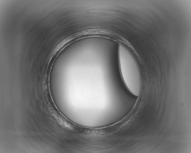 X0000080150786200612081051