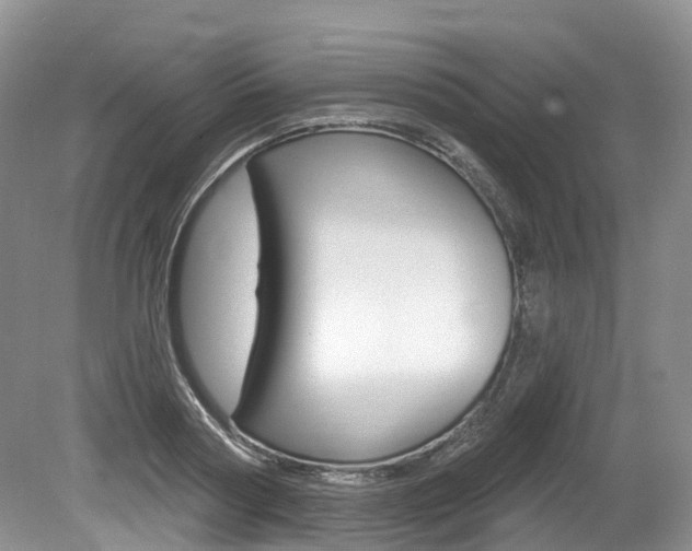 X0000080150794200612081051