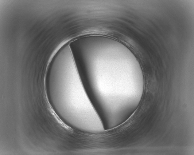X0000080150796200612081051
