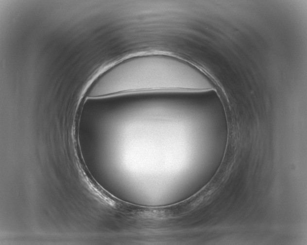 X0000080150797200612081051