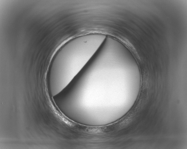 X0000080150798200612081051