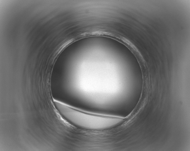 X0000080150801200612081051