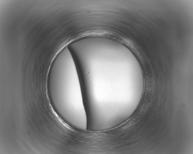 X0000080150802200612081051