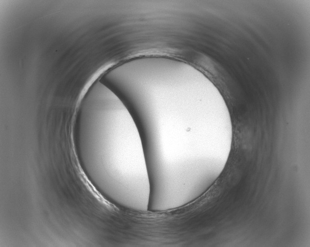X0000080150804200612081051