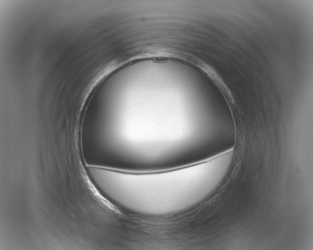 X0000080150805200612081051