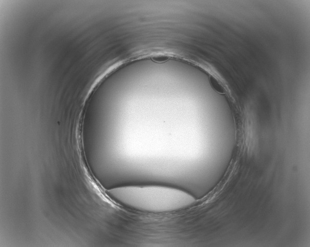 X0000080150806200612081051