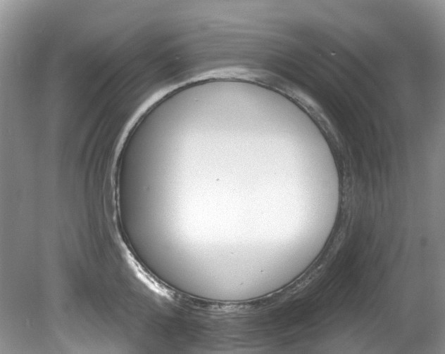 X0000080150808200612081051