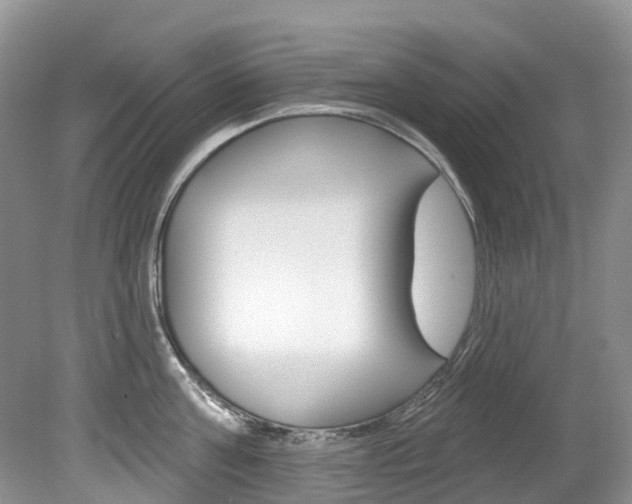 X0000080150811200612081051