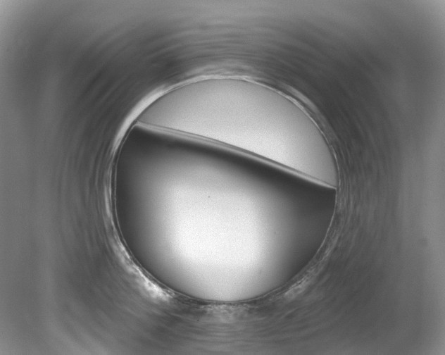 X0000080150812200612081051