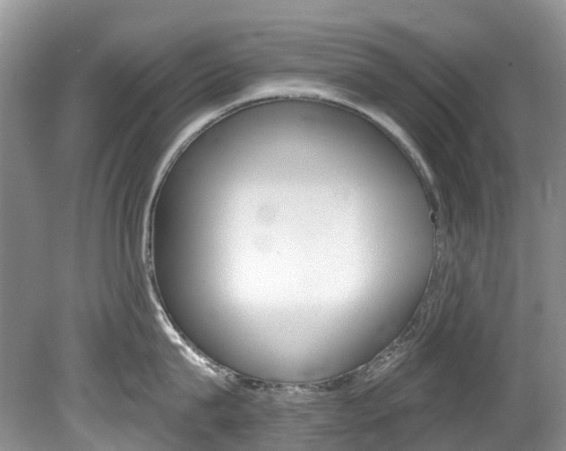 X0000080150815200612081051