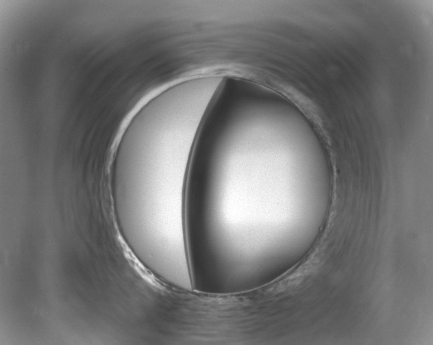 X0000080150816200612081051