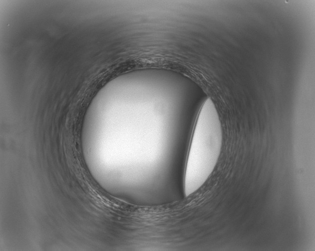 X0000080150817200612081050
