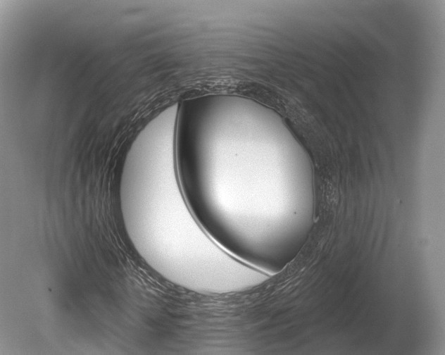 X0000080150818200612081050