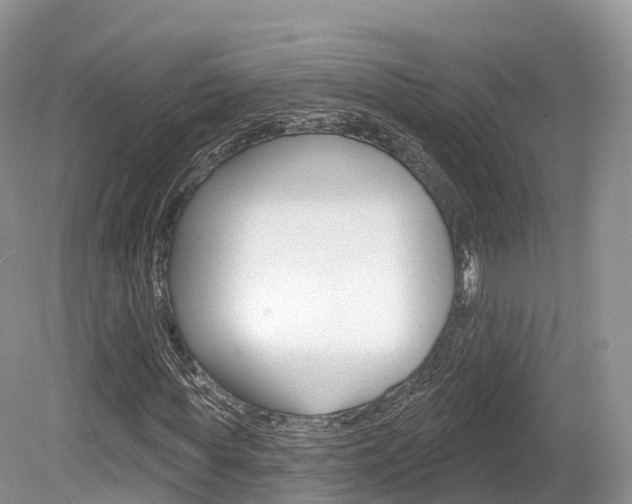 X0000080150819200612081050