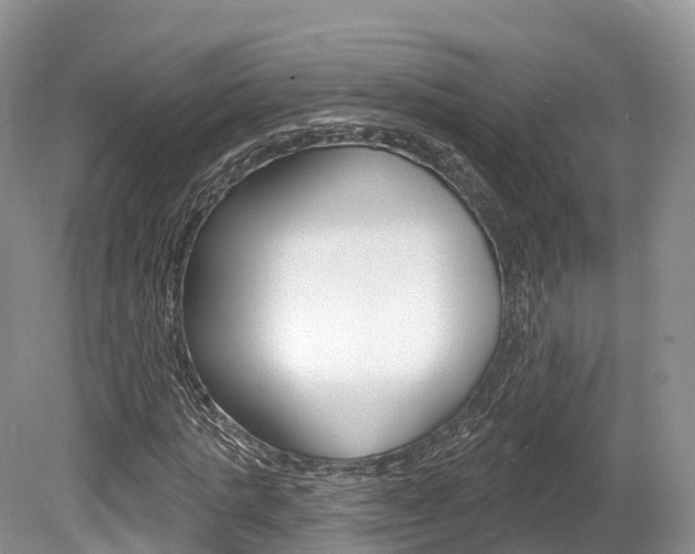 X0000080150821200612081050