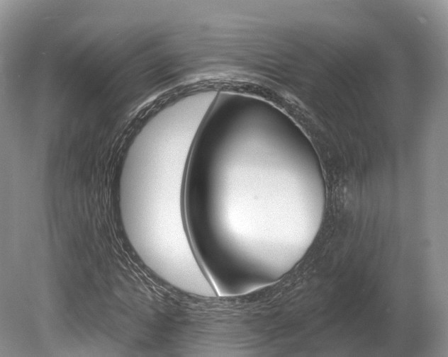 X0000080150822200612081050