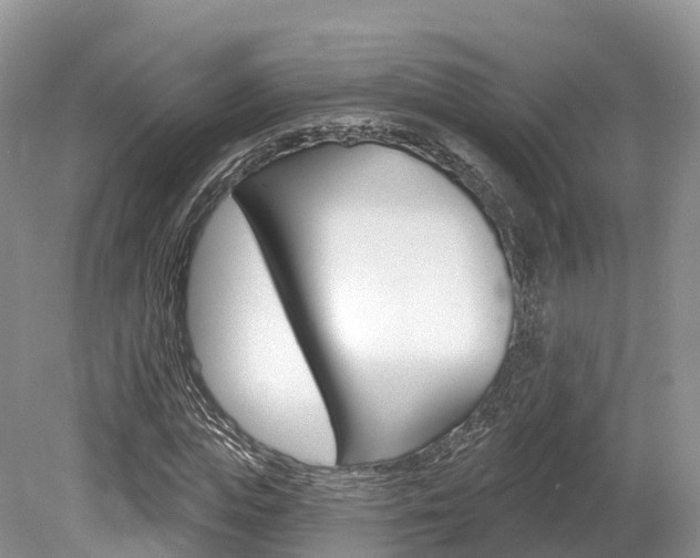 X0000080150823200612081050