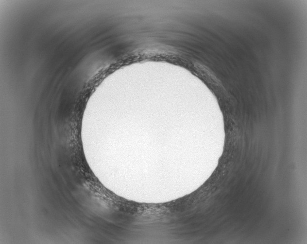 X0000080150824200612081050