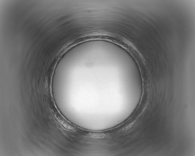 X0000080150825200612081050