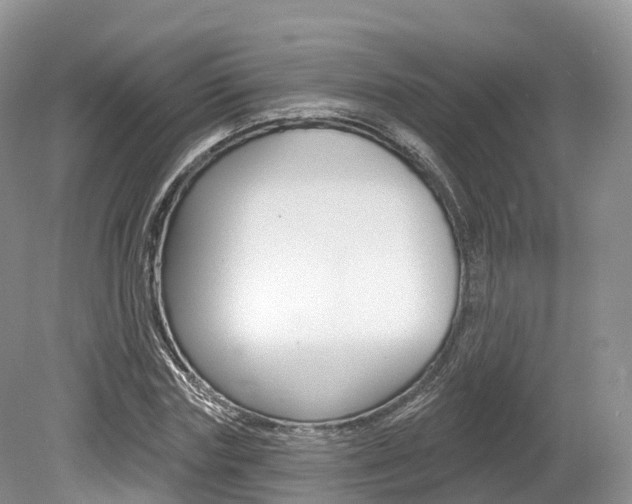 X0000080150827200612081050