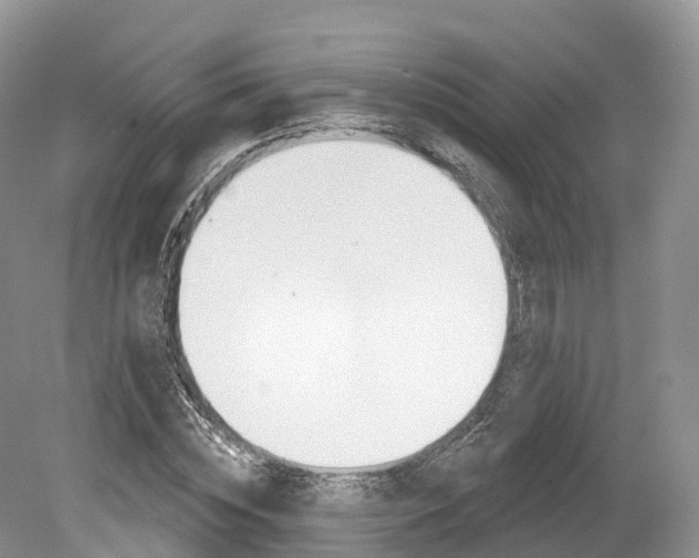 X0000080150828200612081050