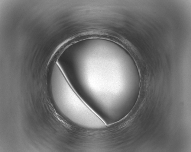 X0000080150830200612081050