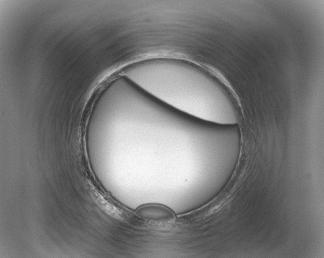 X0000080150831200612081050