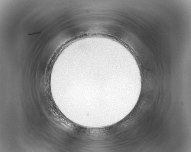 X0000080150832200612081050