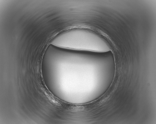 X0000080150833200612081050
