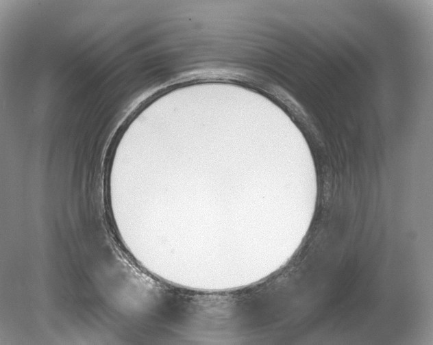 X0000080150836200612081050
